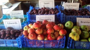 Discovery Apples
